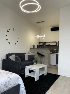 Apartmani Andric